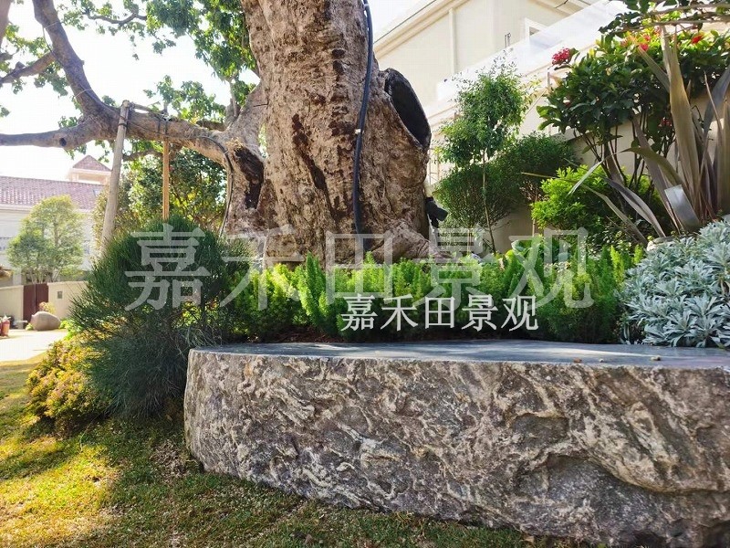 樹木在園林景觀設(shè)計(jì)中有哪些作用？