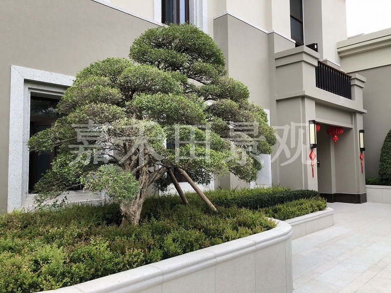 如何選擇專業(yè)的景觀設計師或施工隊伍？
